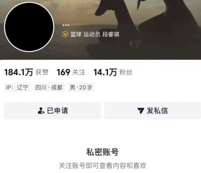 英国威廉集团案例展示